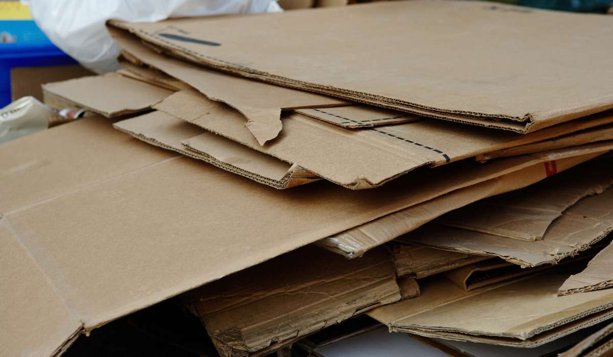 Carton pour lombricomposteur
