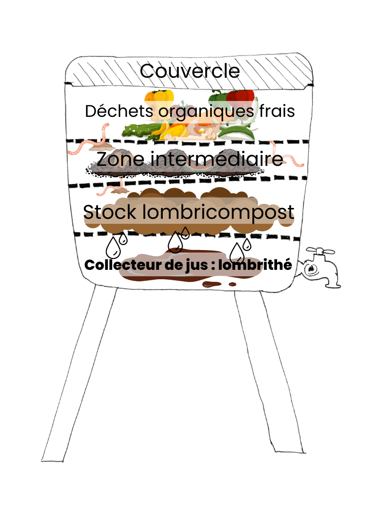 Schéma de fonctionnement d'un lombricomposteur